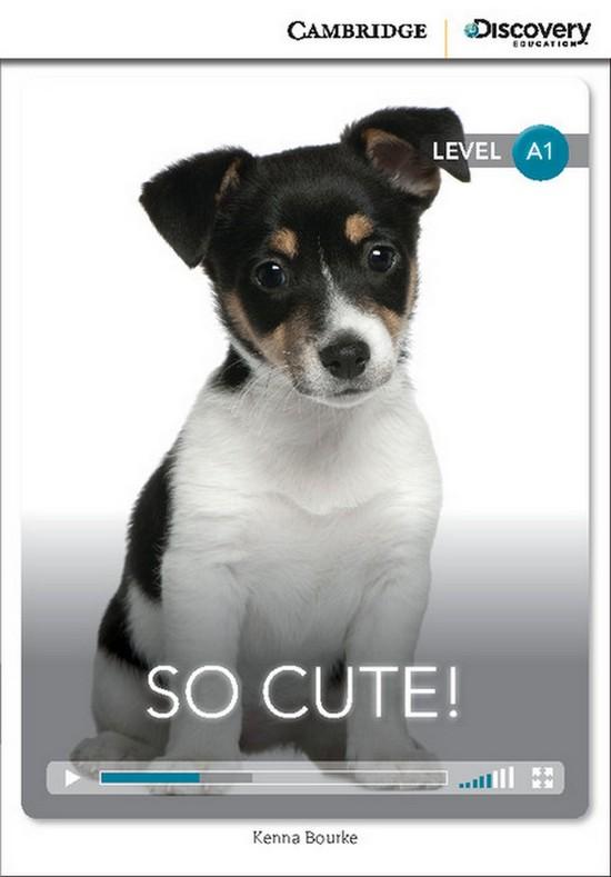 Afbeelding van Cambridge Discovery Readers A1: So Cute! book + online access